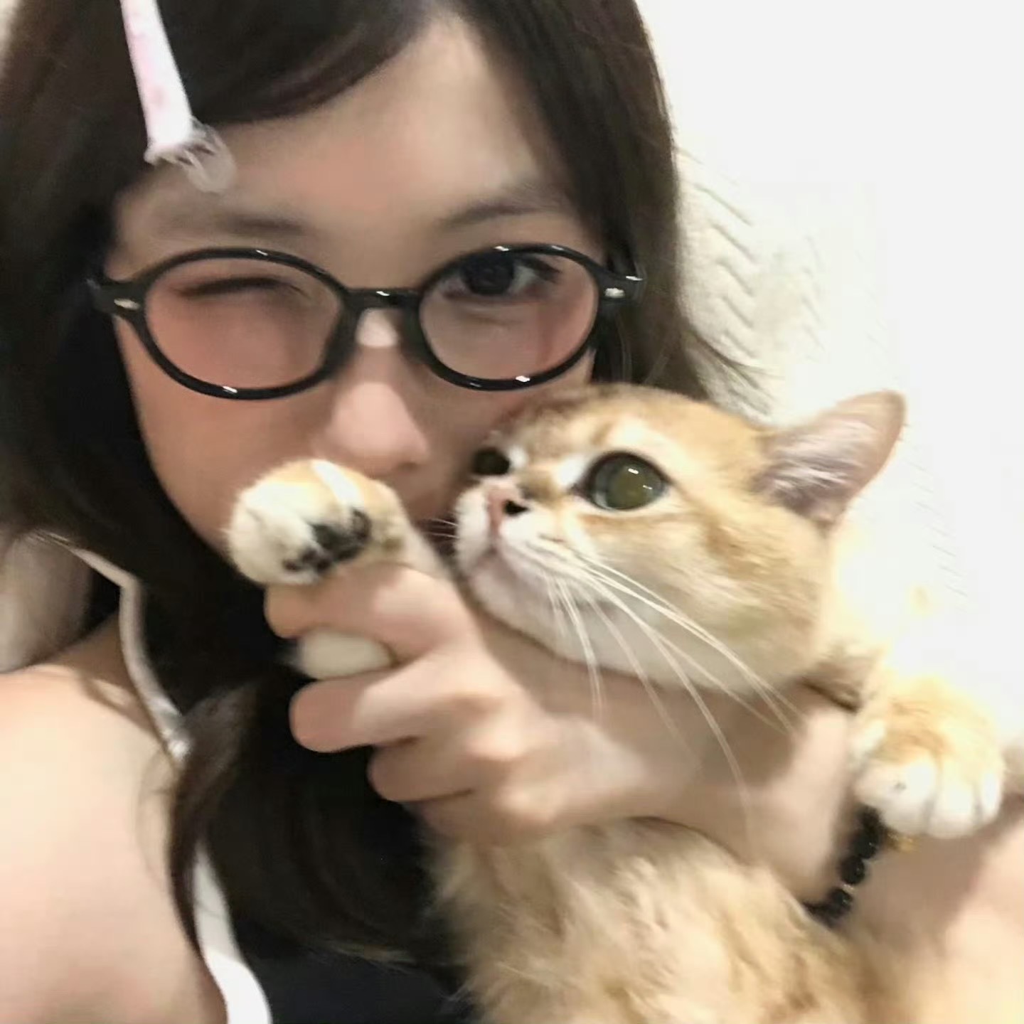 午夜麻豆影院九色